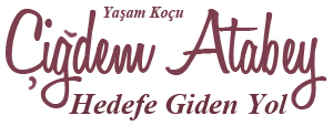 cigdem-atabey-imza-logo cigdem-atabey-imza-logo