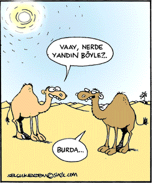 Zor İnsanlarla Başetmek