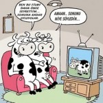 İlişkiler Neden Başlamaz / Yürümez? 